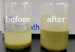 ATS High Pressure Homogenizer for Rhodotorula and Phaffia Yeasts Disruption