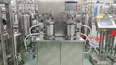 Online Liposome Extrusion System